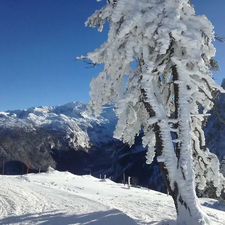 Marianne Saint Wolfgang