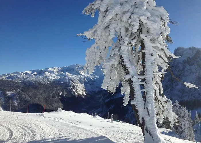 Marianne Sankt Wolfgang im Salzkammergut